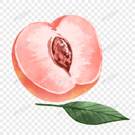 WWW,508se·COM网站APPAPP应用