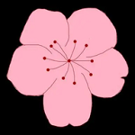 色多多网站APPAPP应用